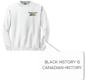 PAN AFRICAN COLOURS CELEBRATE BLACK HISTORY YOUTH CREWNECK