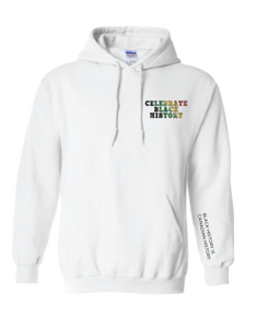 PAN AFRICAN COLOURS CELEBRATE BLACK HISTORY YOUTH HOODIE